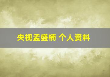 央视孟盛楠 个人资料